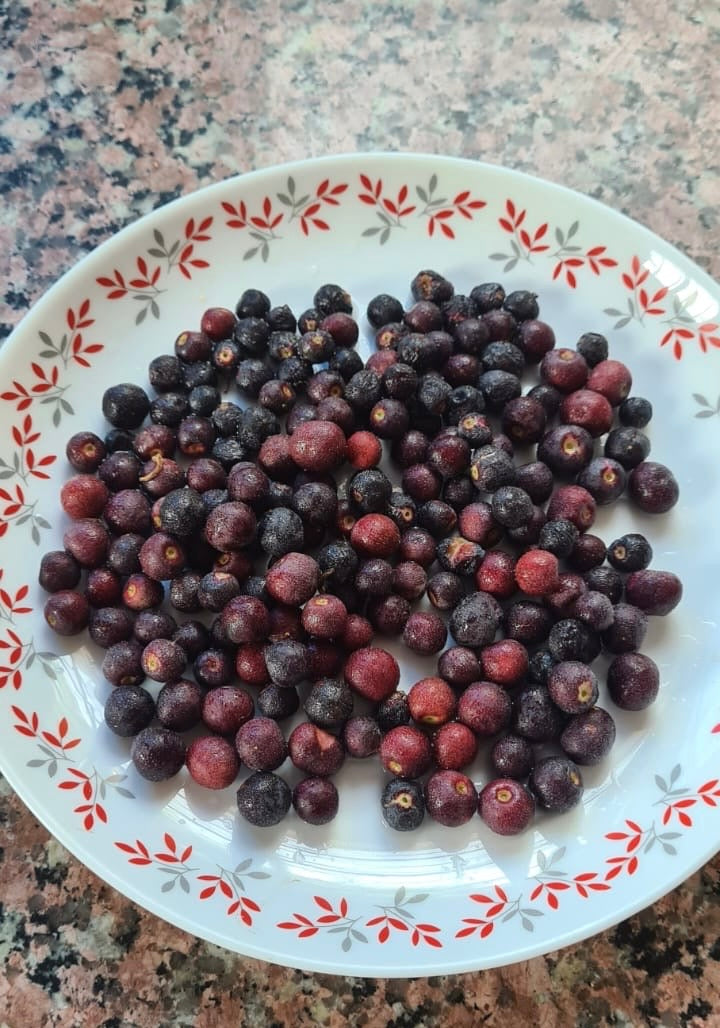 Phalse (Sharbat Berry) 250gms